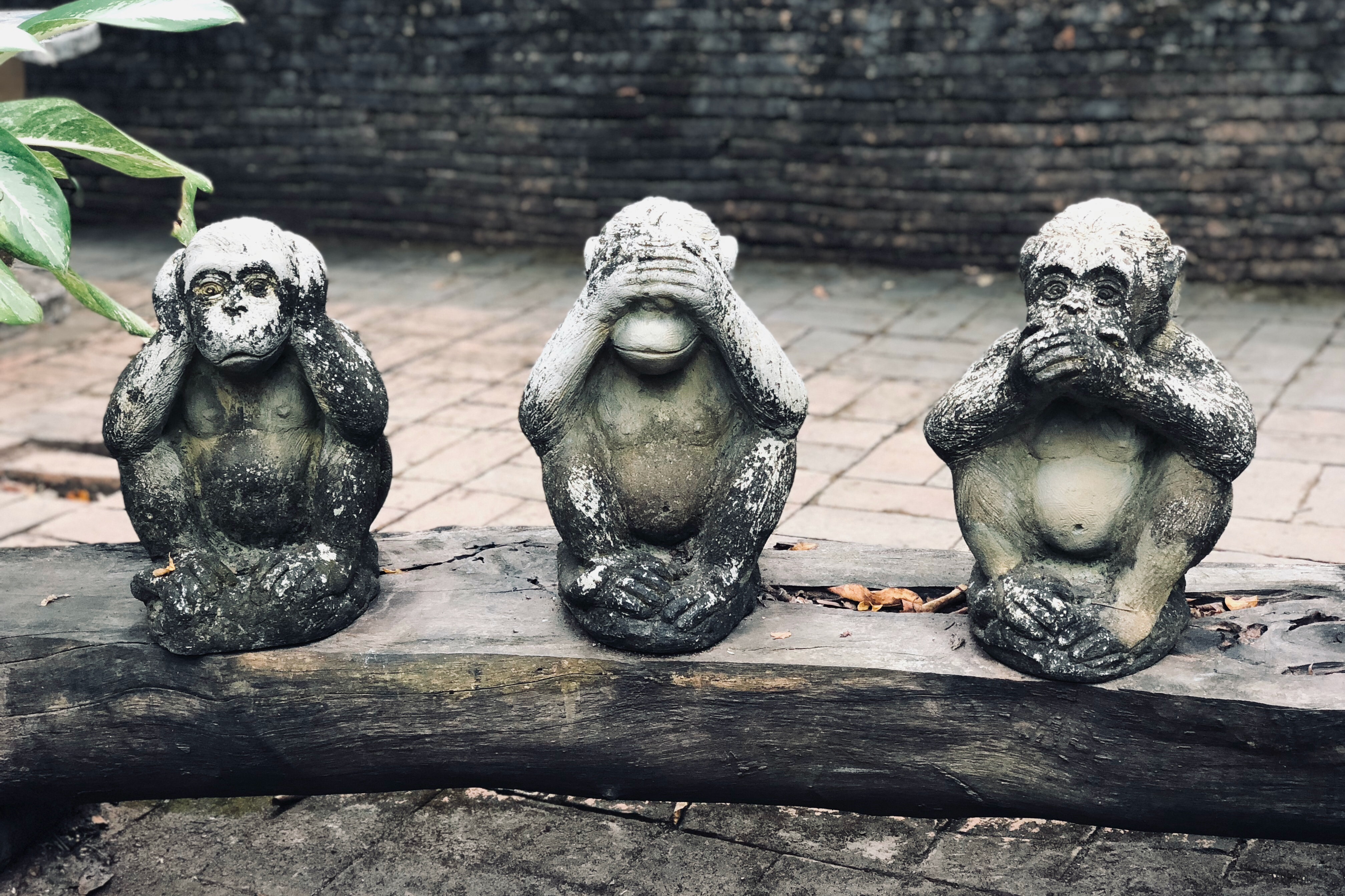 Some People Will Follow Authority – "The Science" – to Their Doom - Vimarsana News