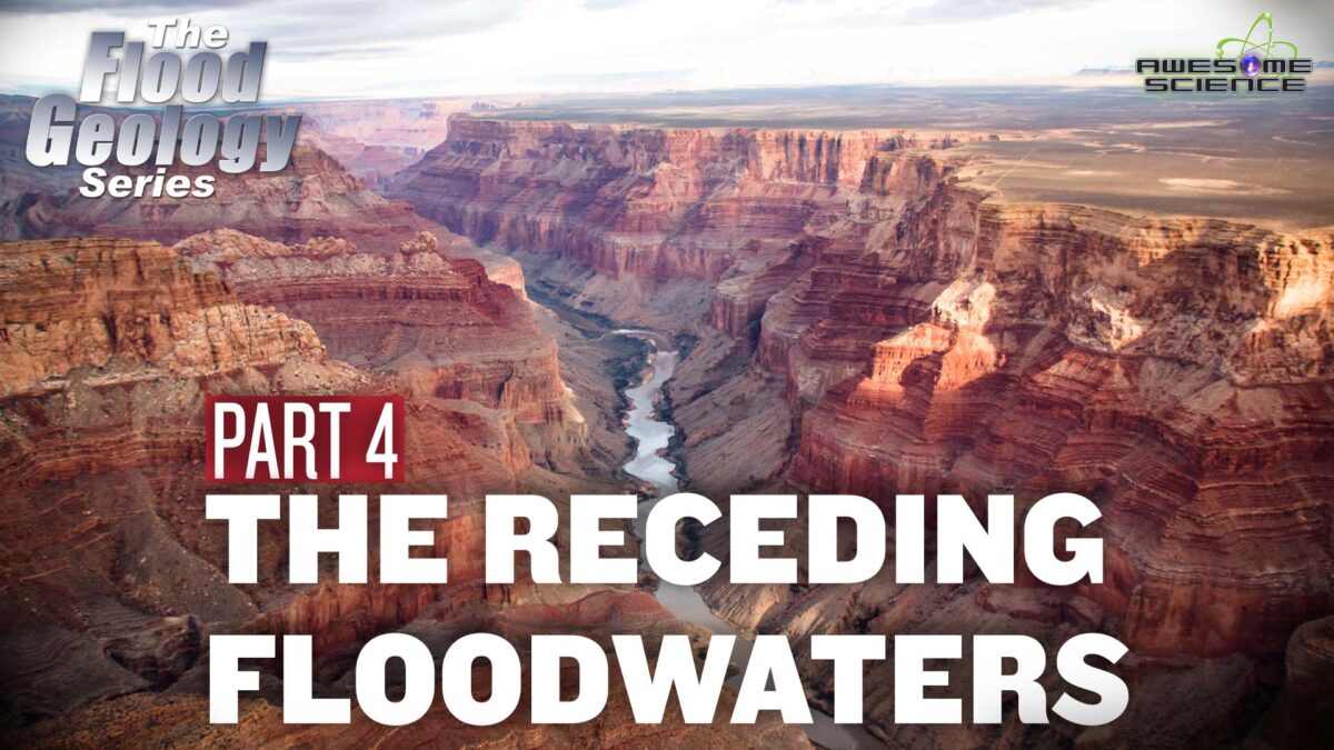 Flood Geology Series (Episode 12): Receding Floodwaters Part4