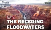 Flood Geology Series (Episode 12):  Receding Floodwaters Part4