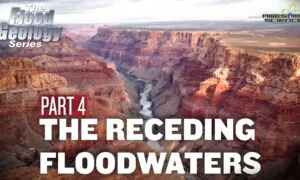 Flood Geology Series (Episode 12):  Receding Floodwaters Part4