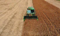Trump Wants China to Quadruple US Soybean Orders