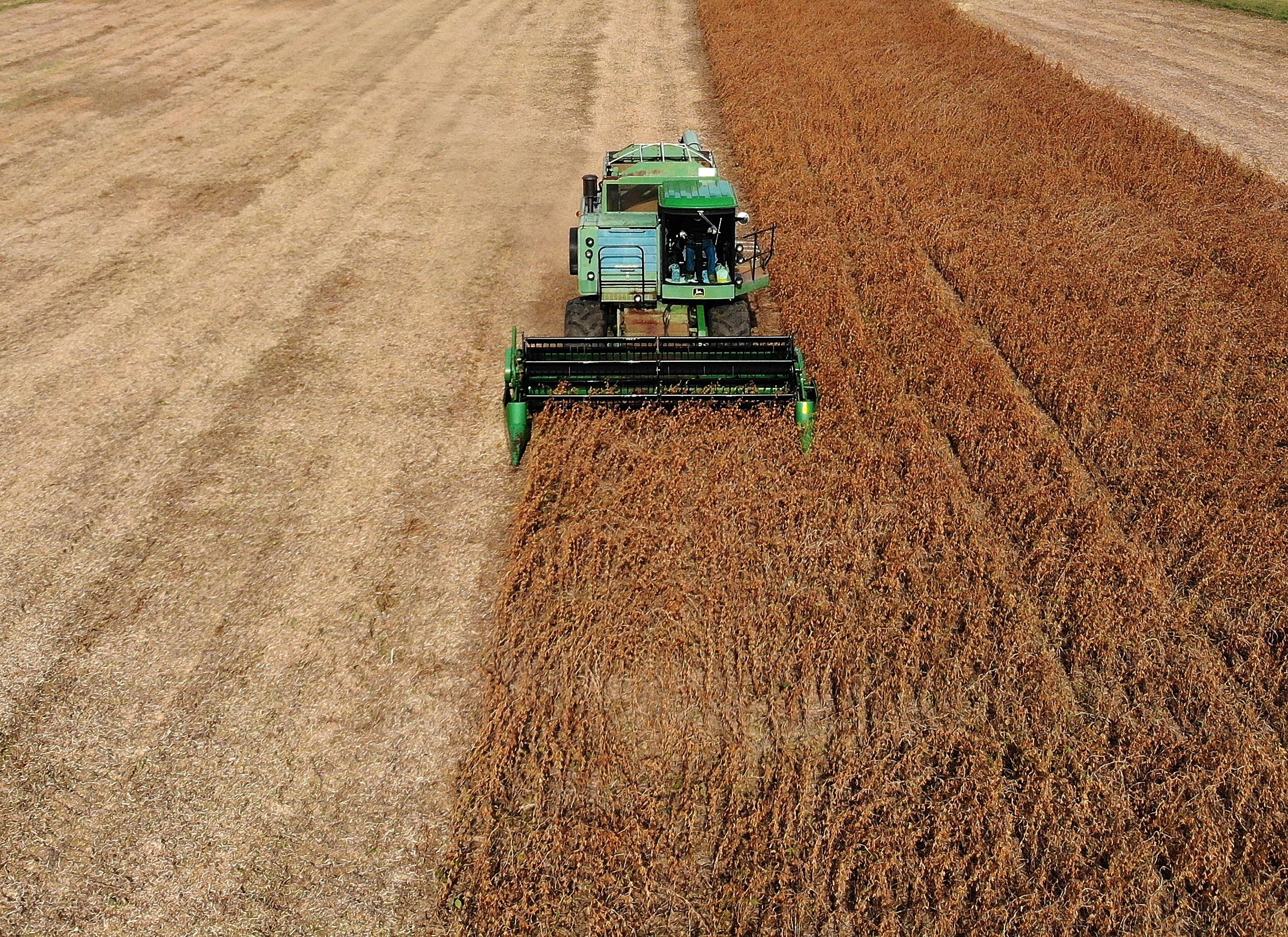 Farmers' Sentiment Rises Amid Surging Commodity Prices: Study - Vimarsana News