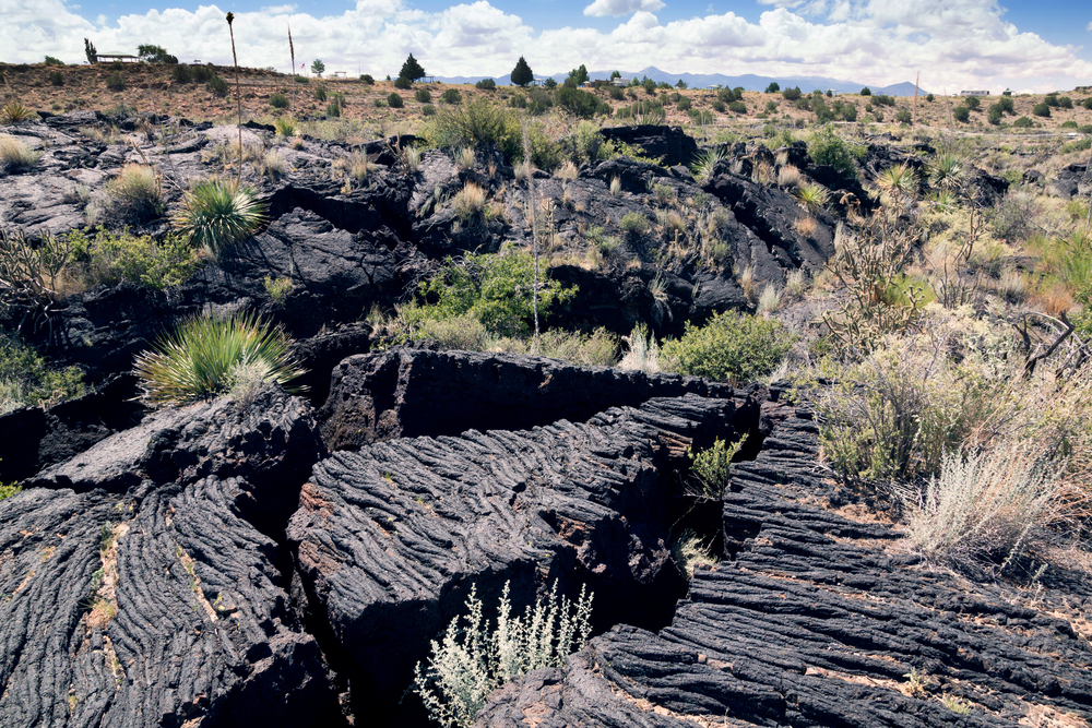 Cracked pieces of lava at Valley of Fires Recreation Area, New Mexico. (IrinaK/Shutterstock)