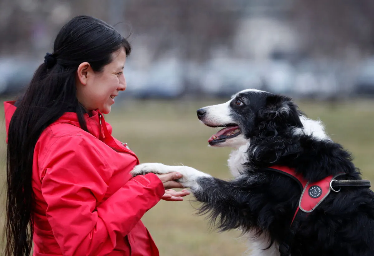 Postdoctoral researcher Laura V. Cuaya talks to her dog Kun-kun, an 8-year-old Border Collie, at the Ethology Department of the Eotvos Lorand University in Budapest, Hungary, on Jan. 5, 2022. (Bernadett Szabo/Reuters)