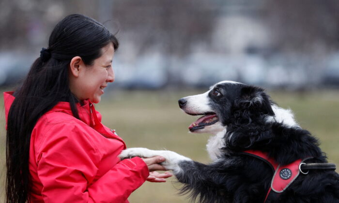 Postdoctoral researcher Laura V. Cuaya talks to her dog Kun-kun, an 8-year-old Border Collie, at the Ethology Department of the Eotvos Lorand University in Budapest, Hungary, on Jan. 5, 2022. (Bernadett Szabo/Reuters)