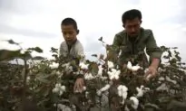US Urges China to End Uyghur Forced Labor in Xinjiang