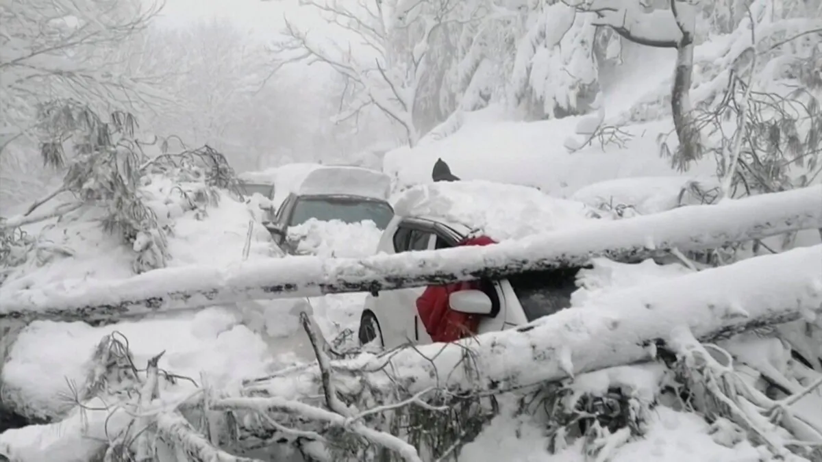 Vehicles stuck under fallen trees are seen on a snowy road, in Murree, northeast of Islamabad in this still image taken from a video on Jan. 8, 2022. (PTV/Reuters TV via Reuters)