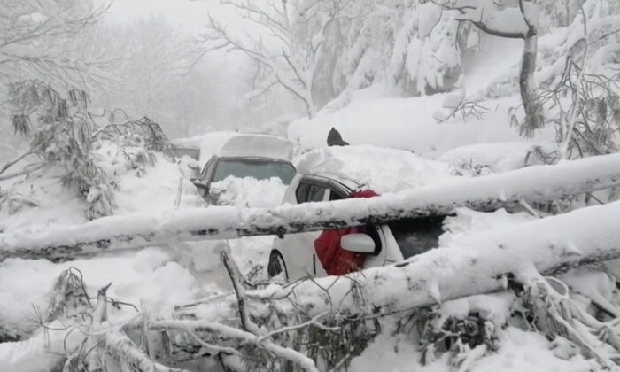 Vehicles stuck under fallen trees are seen on a snowy road, in Murree, northeast of Islamabad in this still image taken from a video on Jan. 8, 2022. (PTV/Reuters TV via Reuters)