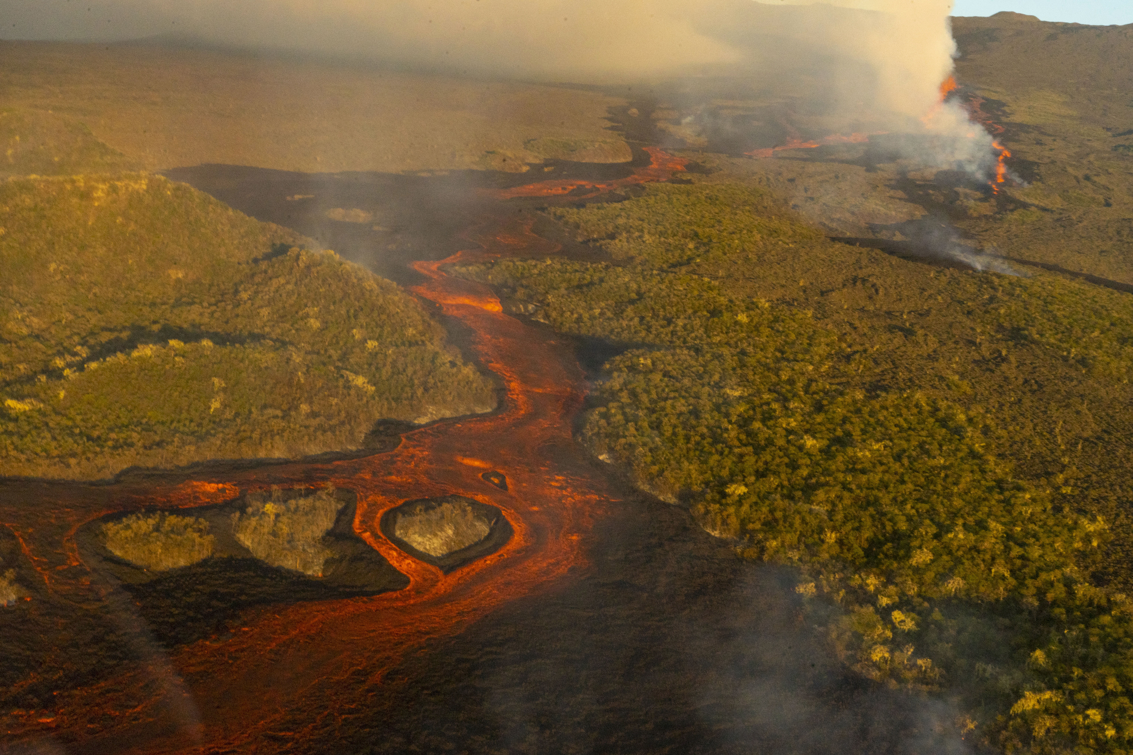 Tallest Galapagos Volcano Erupts, Spewing Lava, Ash - Vimarsana News
