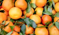 Fruit of the Month: Clementines