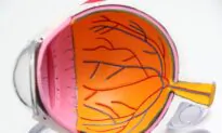 Eye Drops to Replace Your Reading Glasses?