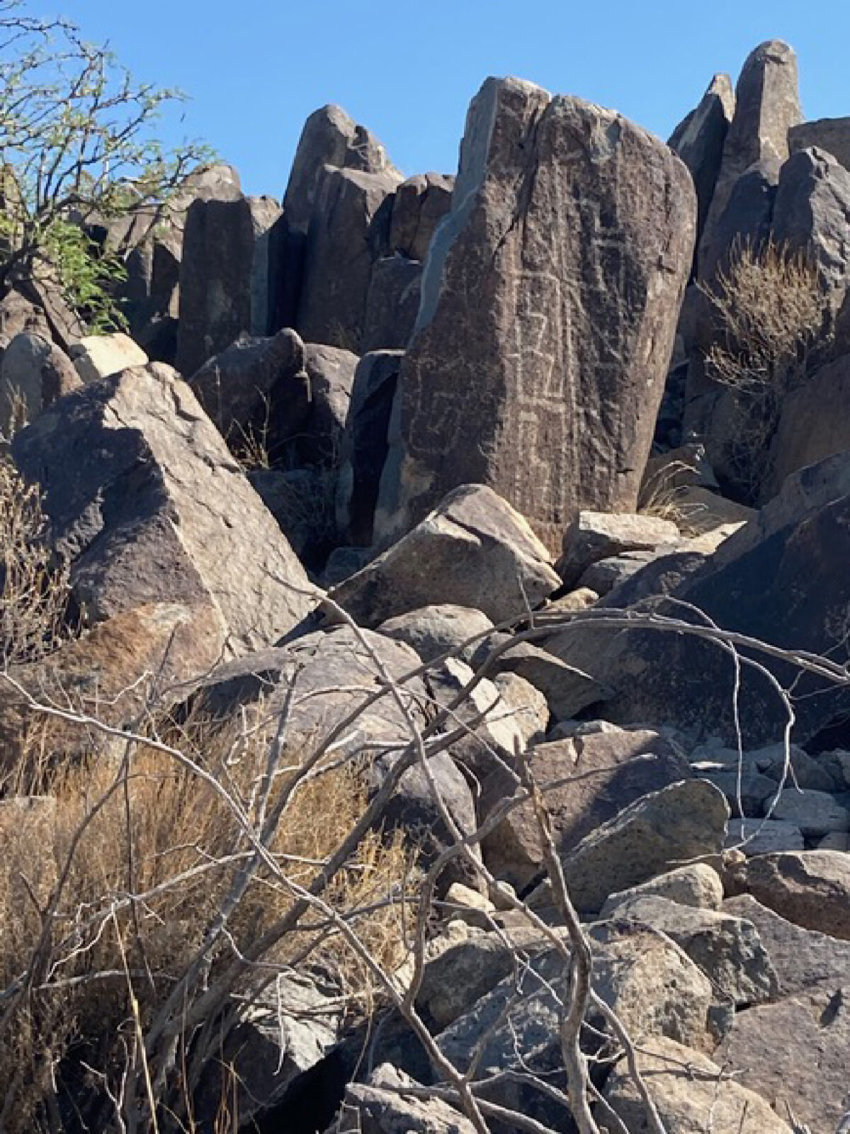 The hike is rough, but finding ancient writings at the Three Rivers Petroglyph Site in Tularosa, N.M., is worth the effort. (Bill Neely)