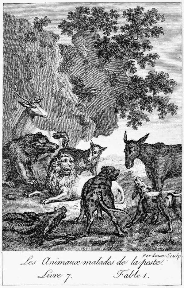 Animals and the Plague