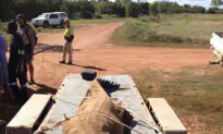 Massive Saltwater Crocodile Caught 8km From Darwin CBD