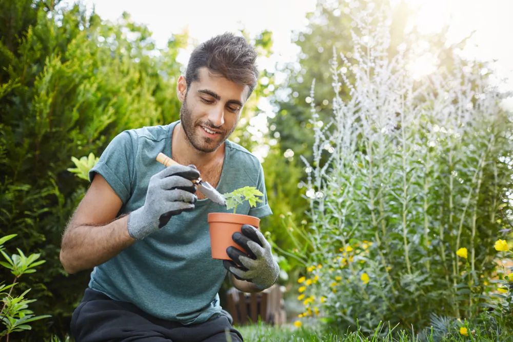James Allen likened a man's mind to a garden, which could be allowed to either run wild or be cultivated with care. (Cookie Studio/Shutterstock)