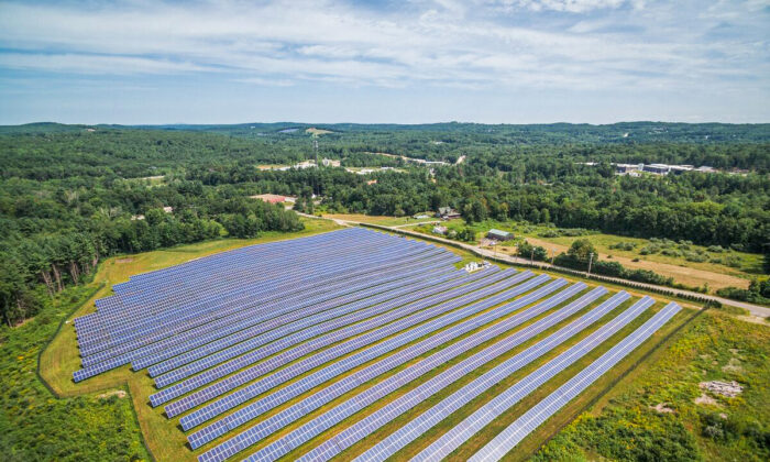 A solar farm. (Courtesy of Nexamp)