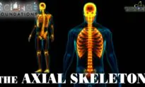 Science Foundations (Episode 13): Bones that Make up the Axial Skeleton