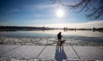 How the Government Gets Canadians’ Cellphone Data