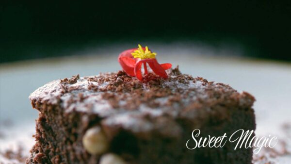 Sweet Magic : Brownie