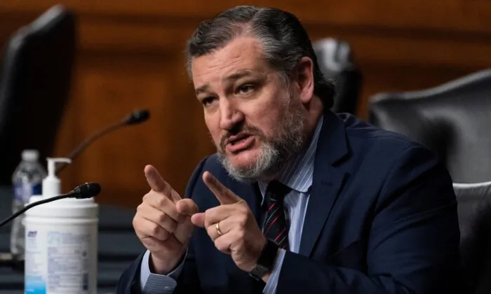 Sen. Ted Cruz (R-Texas), a member of the Senate Foreign Relations Committee, speaks during a hearing to examine US-Russia policy at the US Capitol in Washington on Dec. 7, 2021. (Alex Brandon/POOL/AFP via Getty Images)