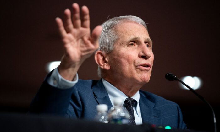 Dr. Anthony Fauci, President Joe Biden's chief medical adviser and head of the National Institute of Allergy and Infectious Diseases, speaks to a congressional panel in Washington on Jan. 11, 2022. (Greg Nash/Pool/AFP via Getty Images)
