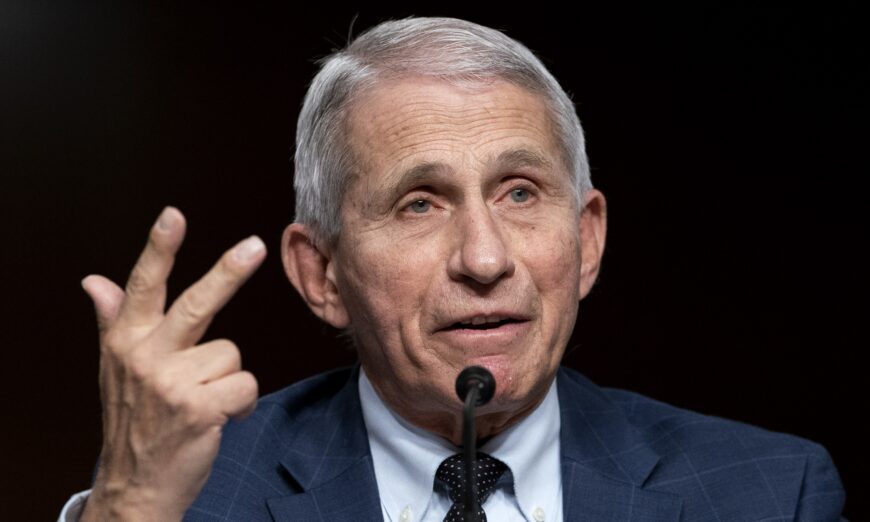 Dr. Anthony Fauci, President Joe Biden's chief medical adviser and head of the National Institute of Allergy and Infectious Diseases, speaks to a congressional panel in Washington on Jan. 11, 2022. (Greg Nash/Pool/AFP via Getty Images)