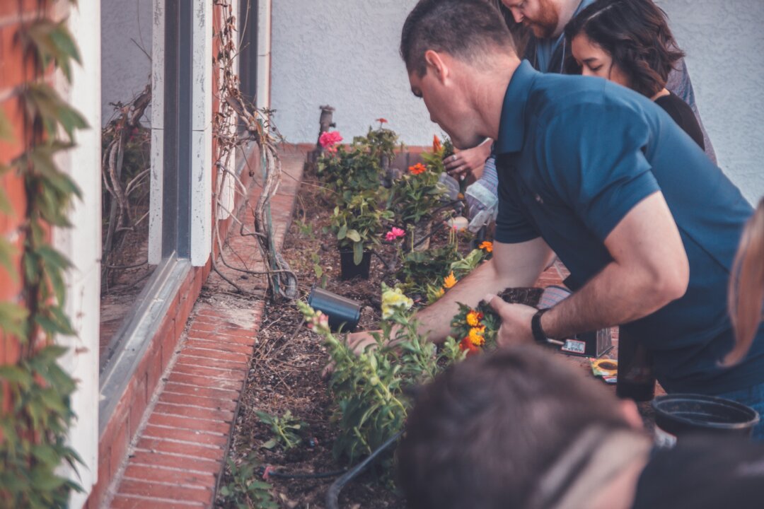 Gardening is good for your mind and body, and its great for any age. (NeonBRAND/Unsplash)