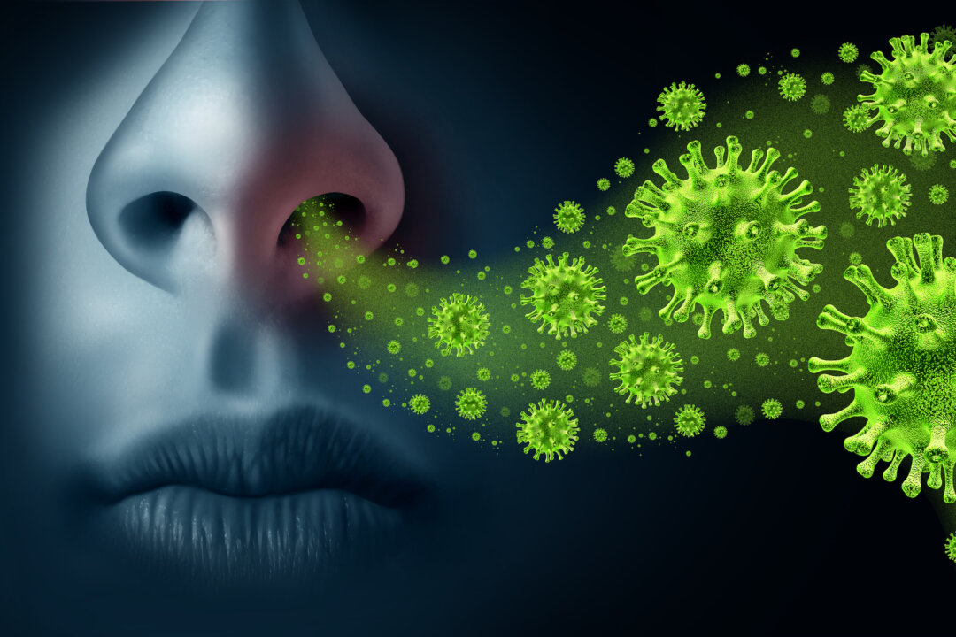 (Lightspring/Shutterstock)