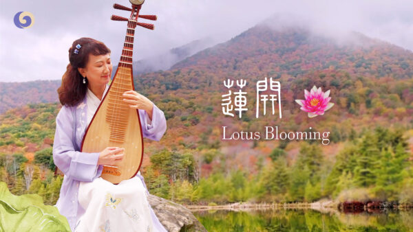 Chinese Lute Captures the Grace of the Blooming Lotus Flower | Musical Moments