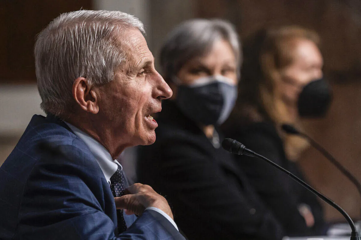 Dr. Anthony Fauci, director of the National Institute of Allergy and Infectious Diseases testifies, during a Senate Health, Education, Labor, and Pensions Committee hearing on Capitol Hill on Jan. 11, 2022 (Shawn Thew/Getty Images)