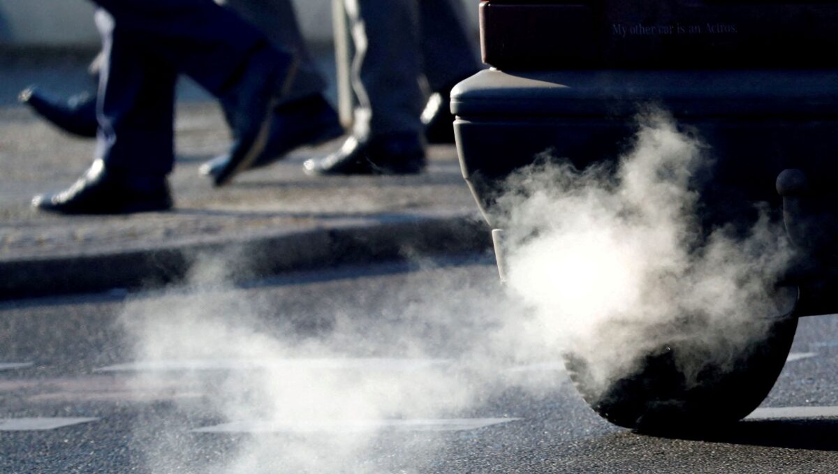 NextImg:Just $80 to Offset My Emissions? I'll Take That Deal!