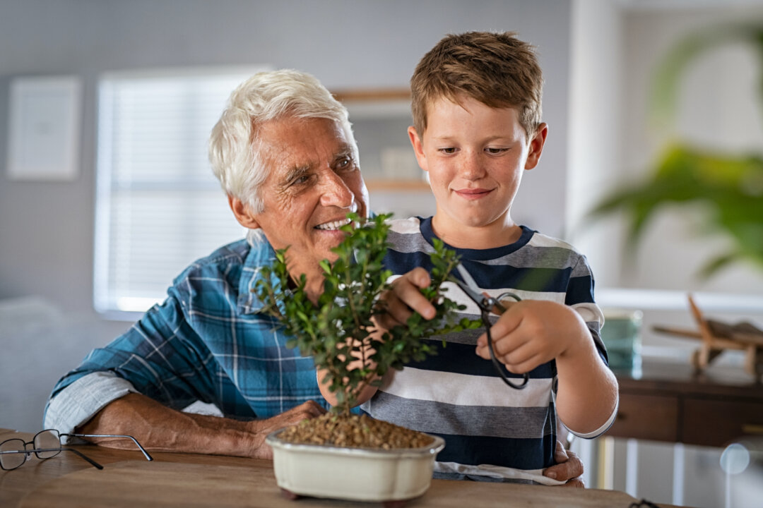 Creativity isn't reserved for artists and performers. Landscaping, knitting, home decor, and journaling all offer an outlet for creative expression.(Rido/Shutterstock)