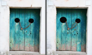 Spot the Difference Daily – Can You Find the 10 Differences?