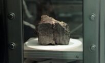 Study Nixes Mars Life in Meteorite Found in Antarctica
