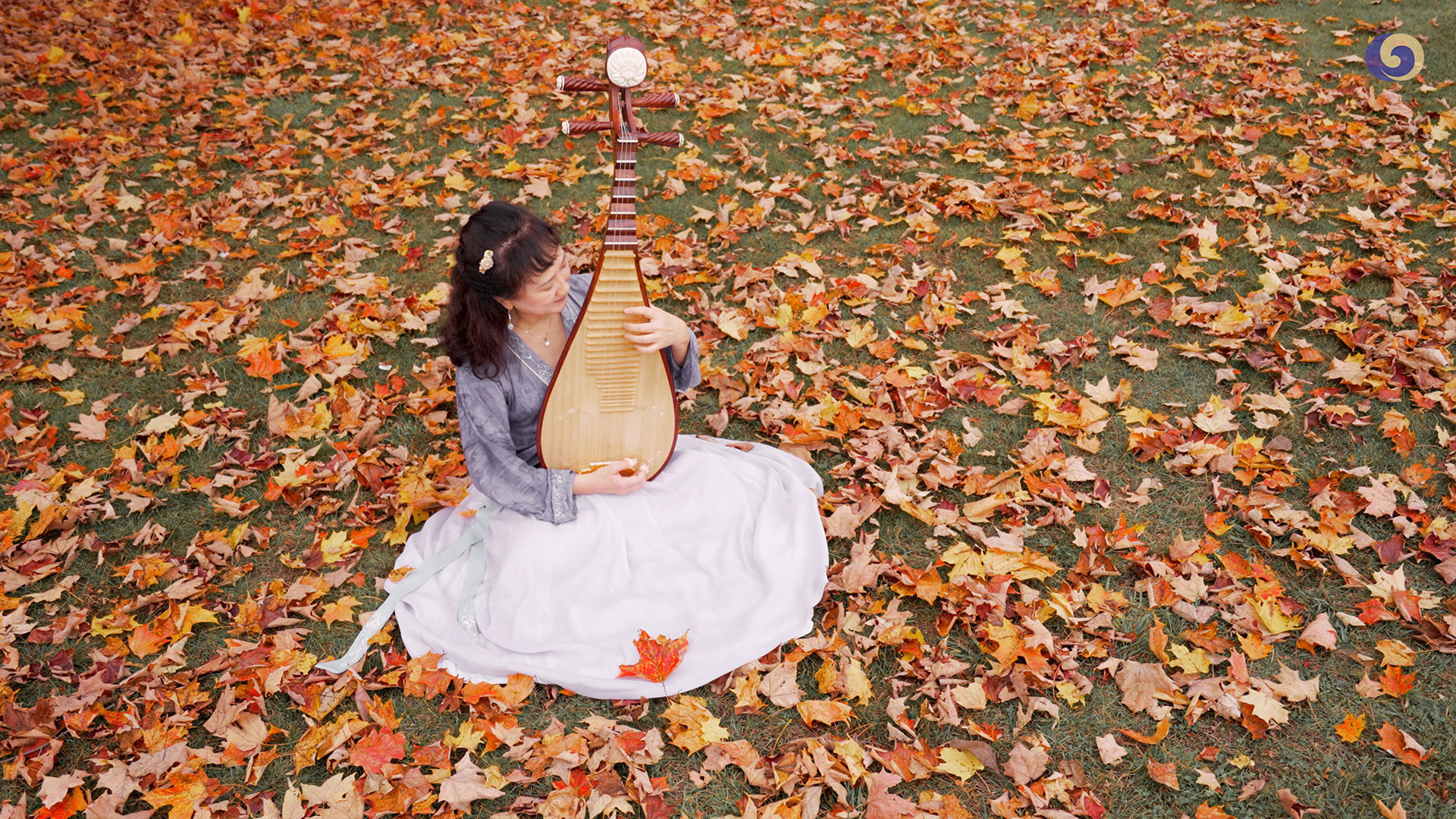 A masterpiece of the Famous Chinese Blind Musician Abing - Vimarsana News