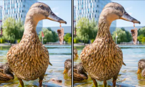 Spot the Difference Daily – Can You Find the 10 Differences?