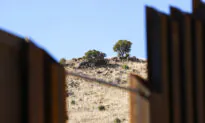 Mexican Crime Cartels Wage Narcotic and Demographic War on USA