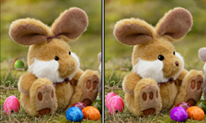 Spot the Difference Daily – Can You Find the 10 Differences?