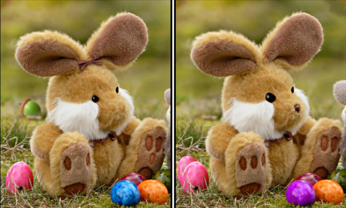 Spot the Difference Daily – Can You Find the 10 Differences?