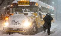 Winter Storm Causing School Closures, Transportation Disruptions in Parts of Ontario