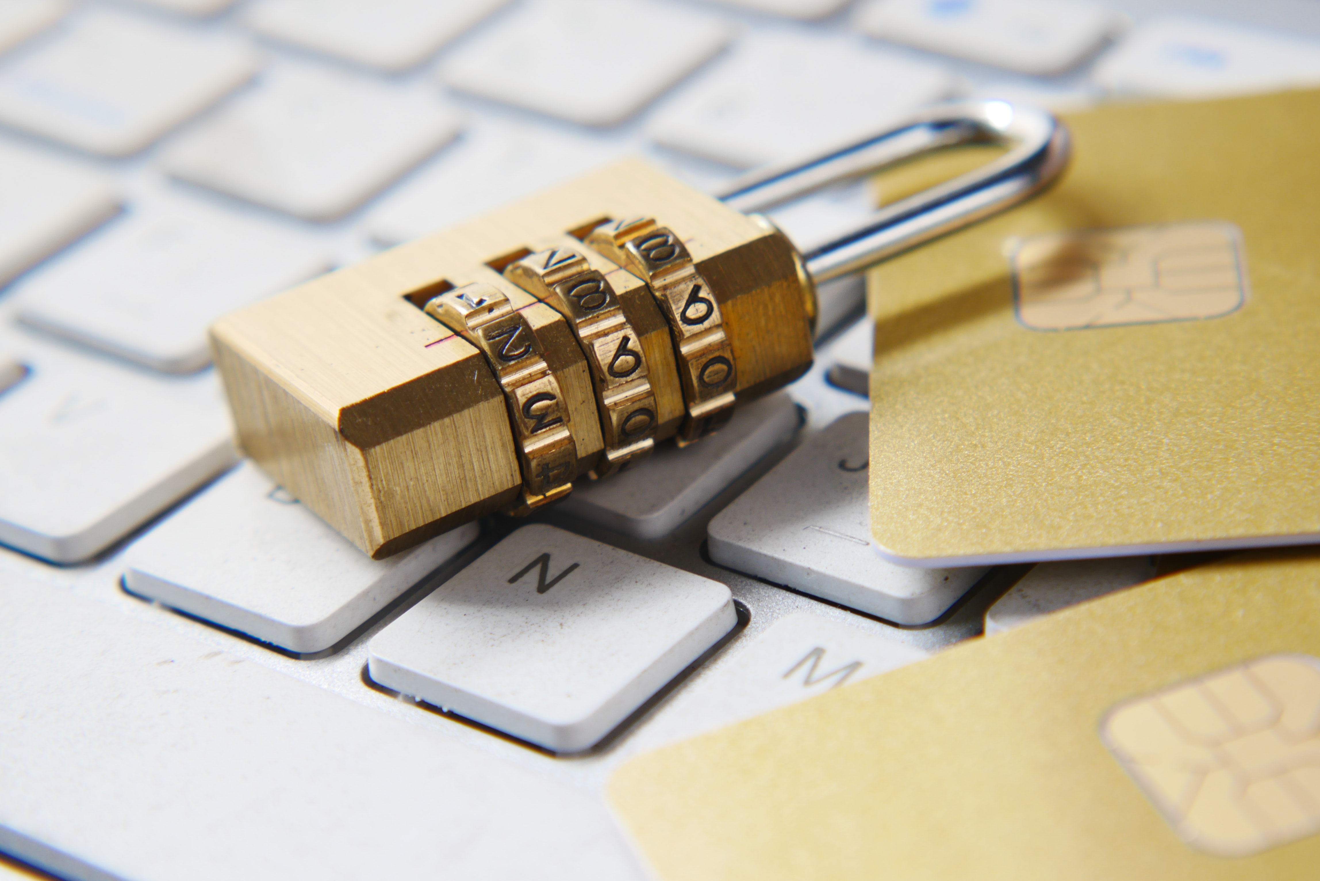 How to Make Sure Your Small Business Doesn't Have a Data Breach - Vimarsana News