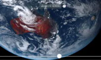 Tonga: Where Are the Americans?