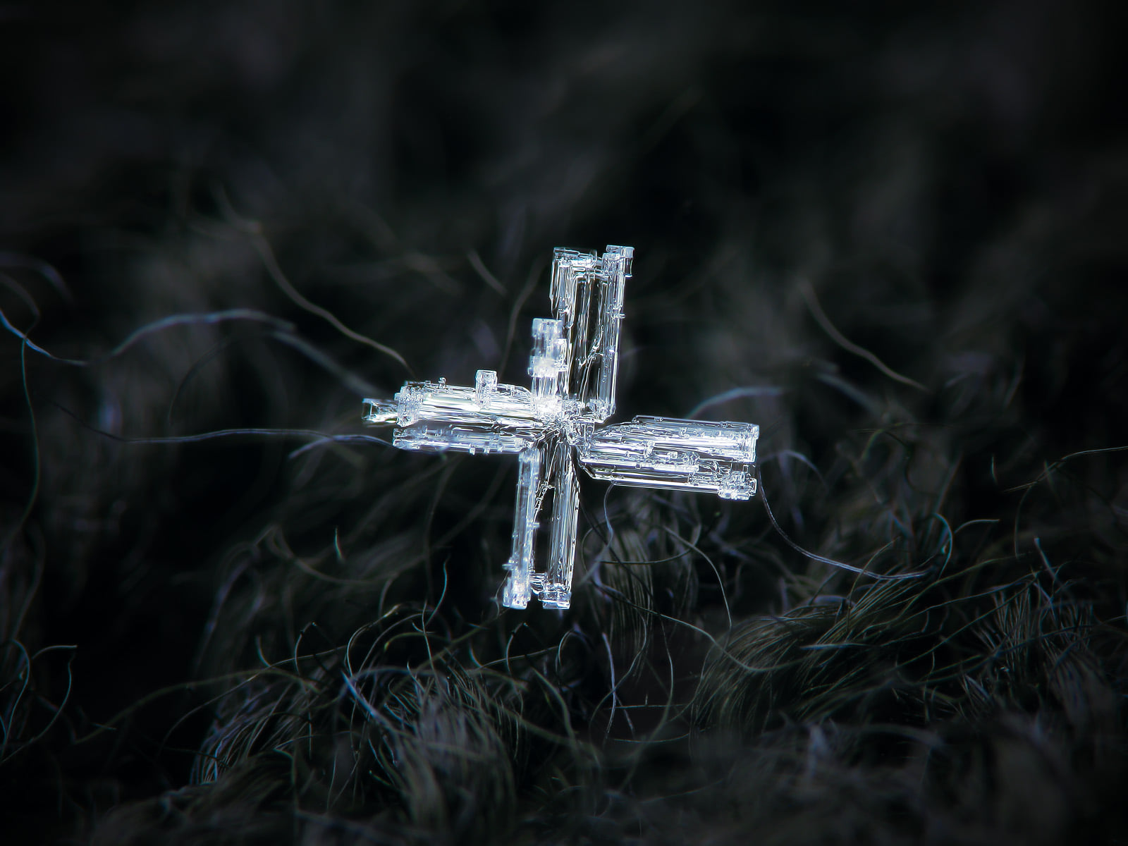 Macrophotographer Snaps Snowflakes Up Close—And the Results Over Past ...