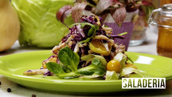 Saladeria : Salad with Smoked Chicken and Blue Cabbage