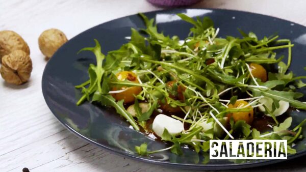 Saladeria : Salad with Escolar Fish and Avocado