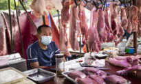 Feed Costs Surge From Iran War, as Plunging Hog Prices Deepen Challenges for China’s Pig Farmers