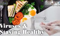 Science Foundations (Episode 14): Viruses & Staying Healthy
