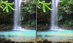 Spot the Difference Daily