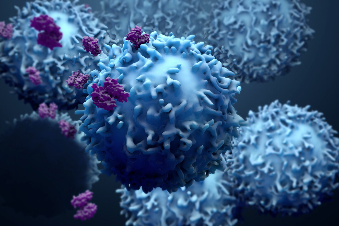 A study by Cedars-Sinai has found a universal predictor of mortality for 16 solid tumor cancers. (Design_Cells/Shutterstock)