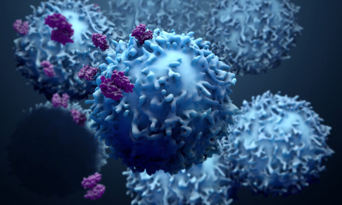 Our T-cells can recognise and eliminate omicron. By Design_Cells/Shutterstock
